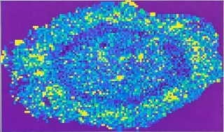 Elemental map showing variation across a sample at the micron scale.