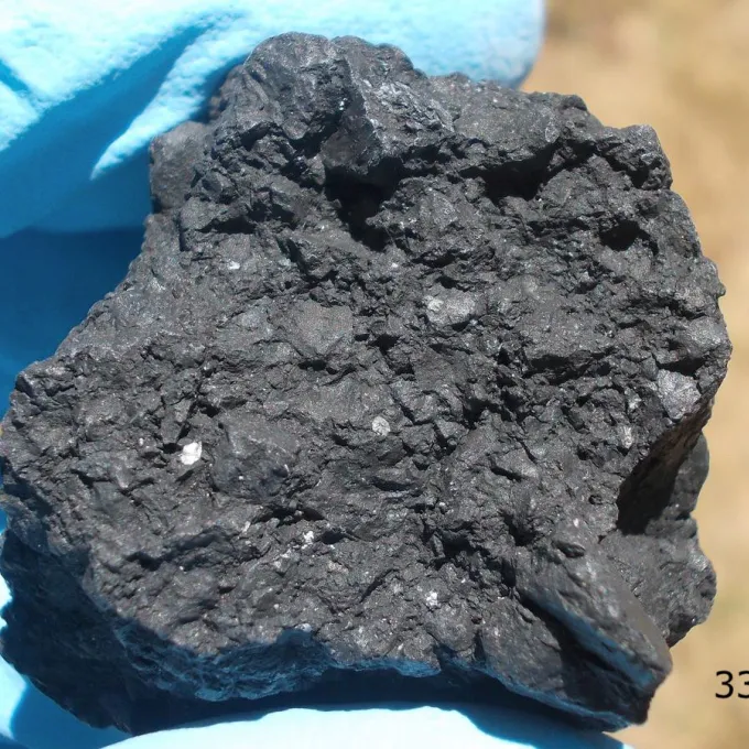 Rare meteorite links asteroids Bennu and Ryugu to a common ancient parent body